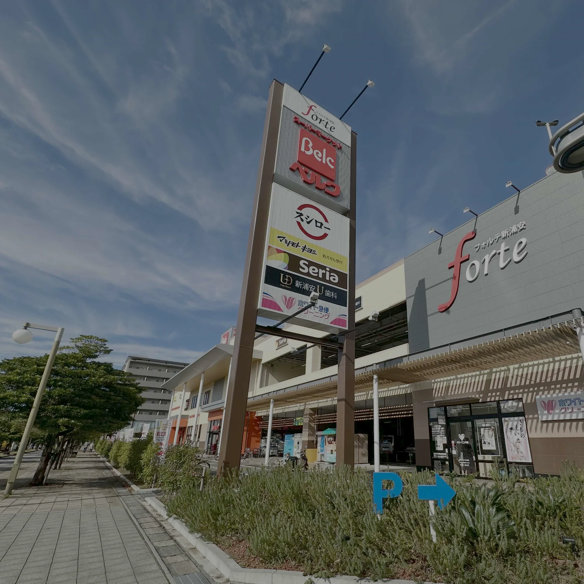 Drugstore forte Shinurayasu Store